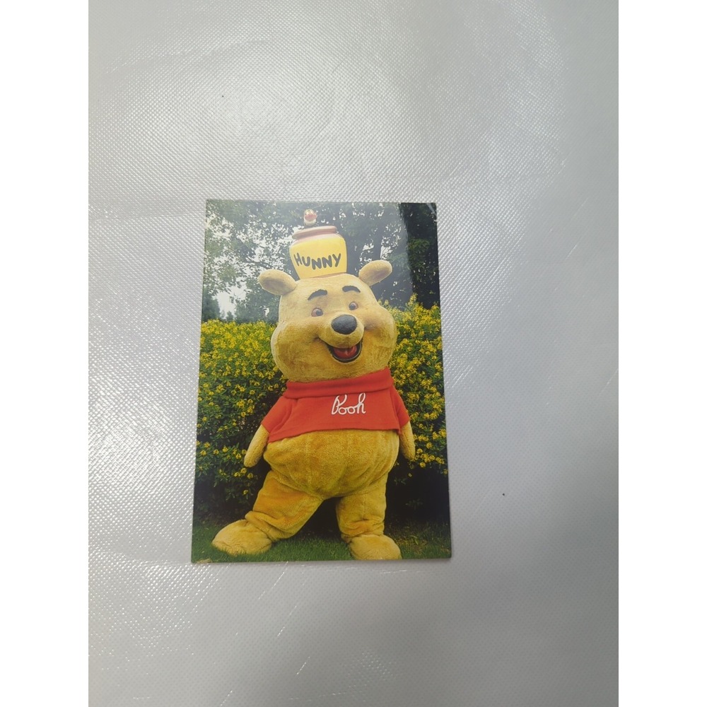 Vintage Pooh Postcard with Hunny Pot Hat, 1987 Walt Disney World, 6" x 4"